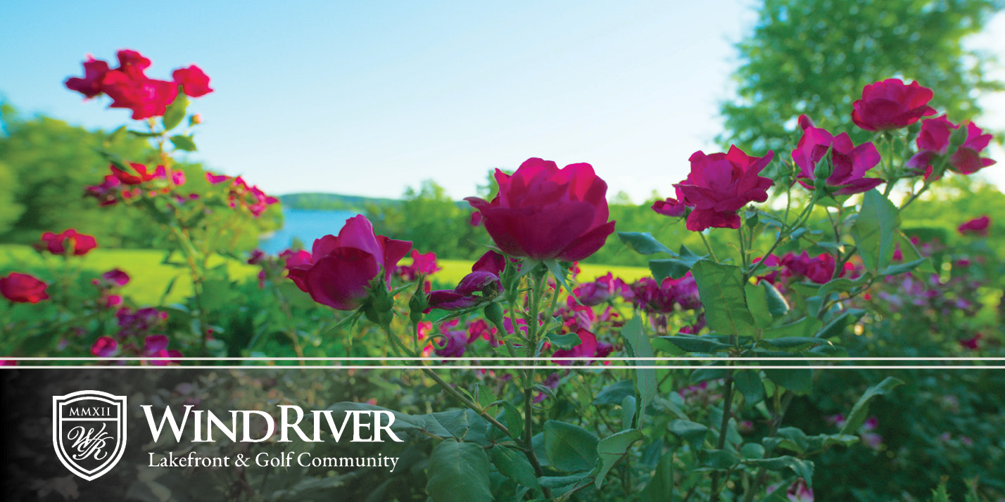 DT2024-Weekend-W11 WindRiver Lakefront & Golf Community