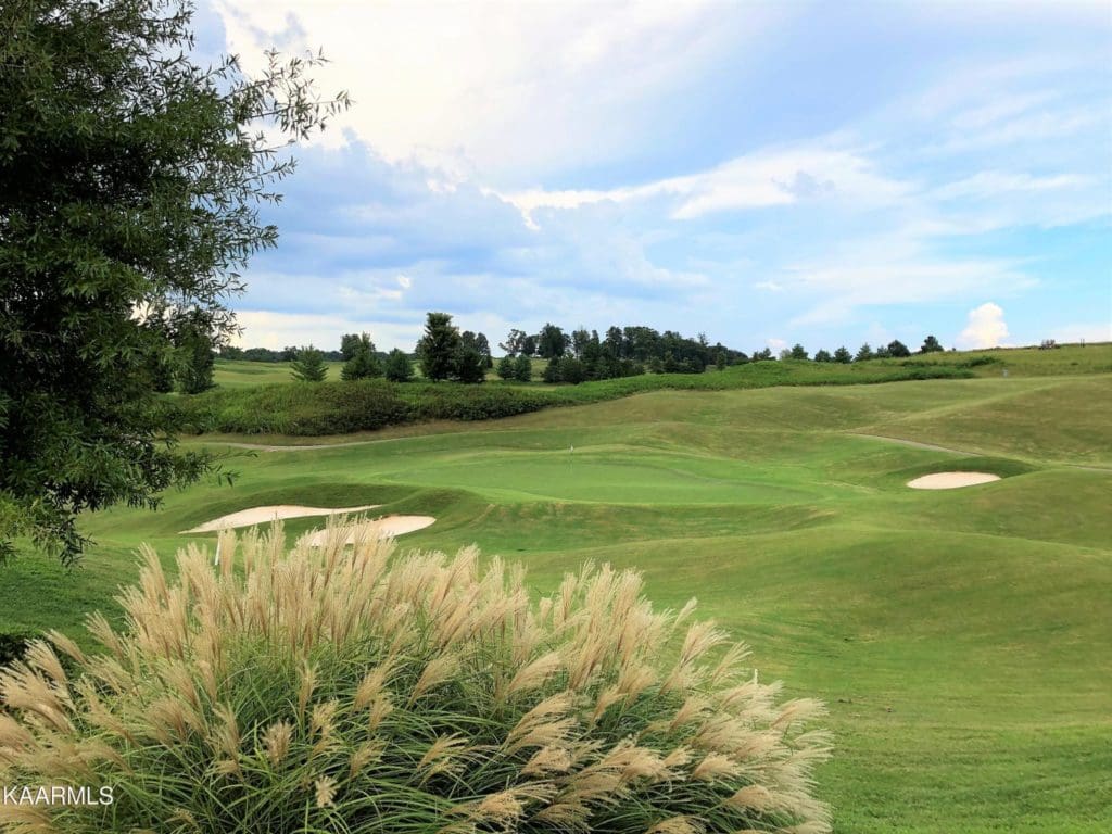 Image #7 for 973 Zepher Drive