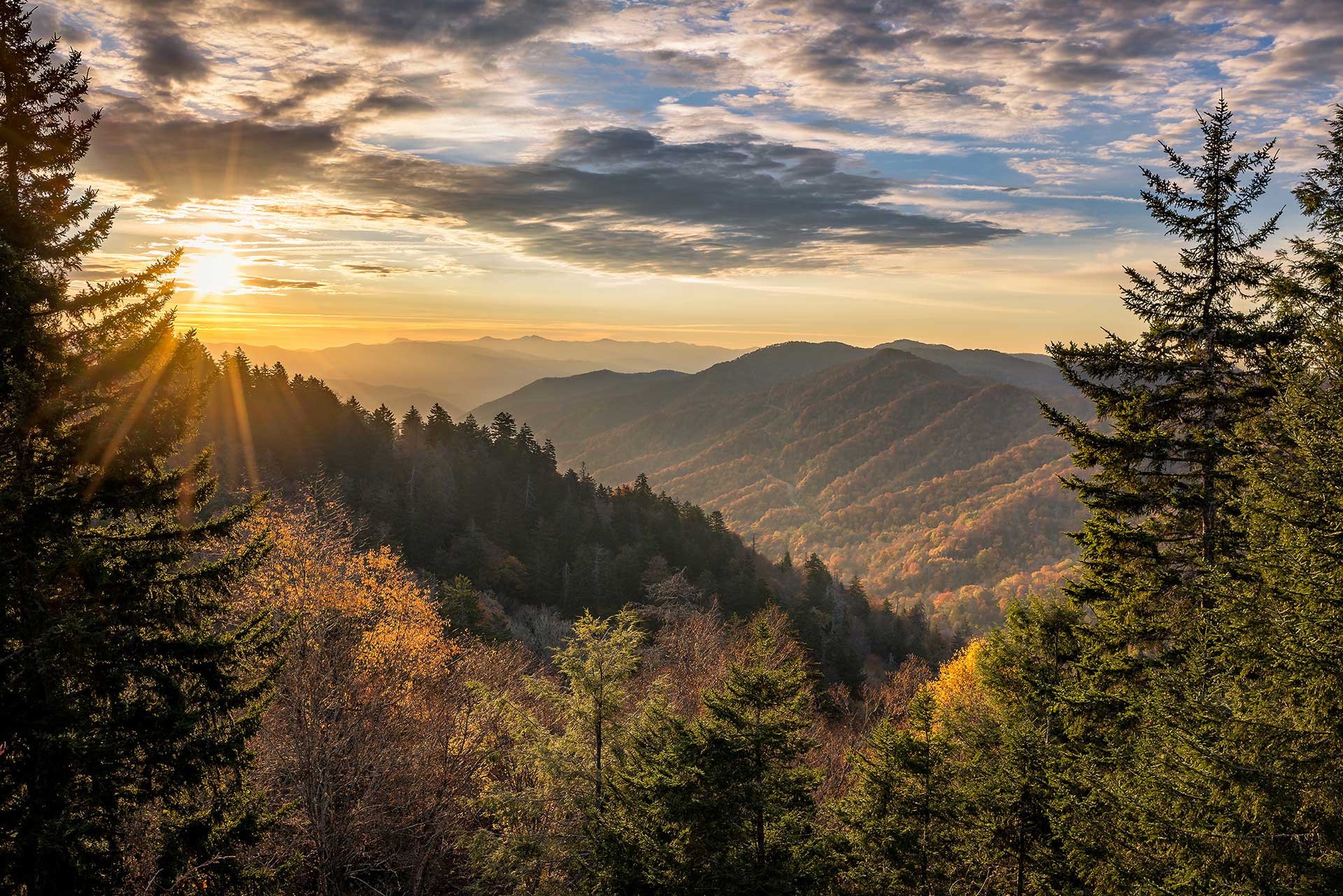 Things to Do Near WindRiver: A Guide to Lenoir City, Knoxville, and the Smoky Mountains
